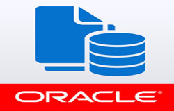 Oracle数据库管理工具有哪些?-北京乐鱼在线体育·（中国）官方网站公司