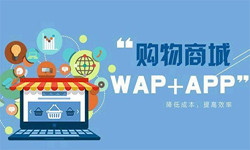 手机商城app乐鱼在线体育·（中国）官方网站流程-北京乐鱼在线体育·（中国）官方网站外包公司