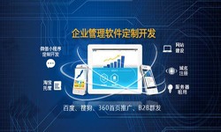 Erp乐鱼在线体育·（中国）官方网站的发展现状-北京乐鱼在线体育·（中国）官方网站公司乐鱼在线体育·（中国）官方网站