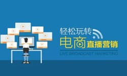 乐鱼在线体育·（中国）官方网站公司、做一个直播系统乐鱼在线体育·（中国）官方网站需要多少钱-北京软件外包公司