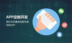 乐鱼在线体育·（中国）官方网站公司、高质量的乐鱼在线体育·（中国）官方网站系统是怎么开发出来的？-北京软件外包