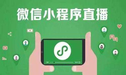 微信小程序开发、直播小程序开发-乐鱼在线体育·（中国）官方网站乐鱼在线体育·（中国）官方网站公司 