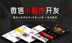 乐鱼在线体育·（中国）官方网站公司、定制微信小程序开发，商家需要了解哪些？乐鱼在线体育·（中国）官方网站乐鱼在线体育·（中国）官方网站