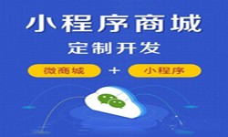 微信小程序开发、商城小程序开发功能-乐鱼在线体育·（中国）官方网站乐鱼在线体育·（中国）官方网站