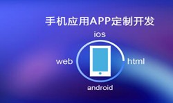 APP开发市场上常见问题分析-北京乐鱼在线体育·（中国）官方网站公司